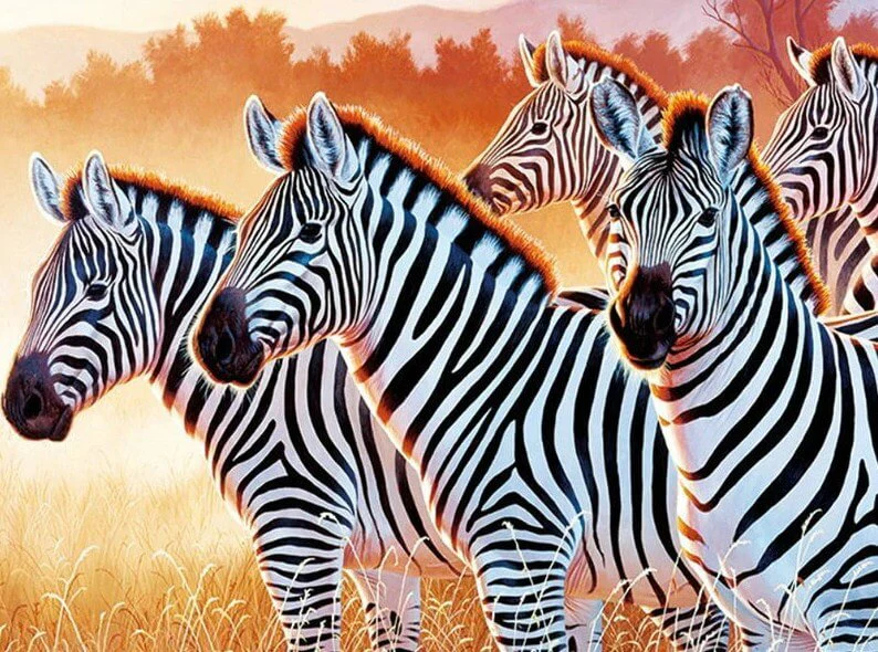 Zebras DIY Diamond Painting Kit
